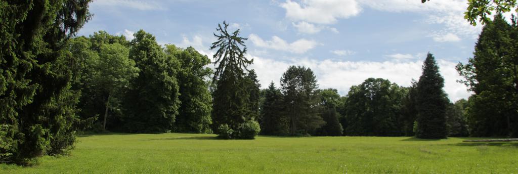 Chateau D'Hassonville อาย ภายนอก รูปภาพ